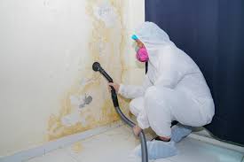 Best Mold Removal for HVAC Installations in Winnsboro Mills, SC